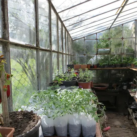 Defneland Kardelen 울라