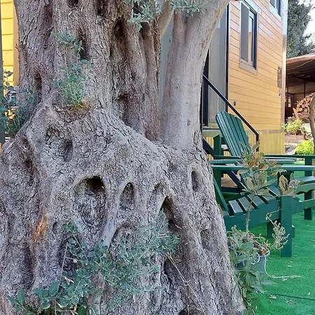 Defneland Kardelen 울라