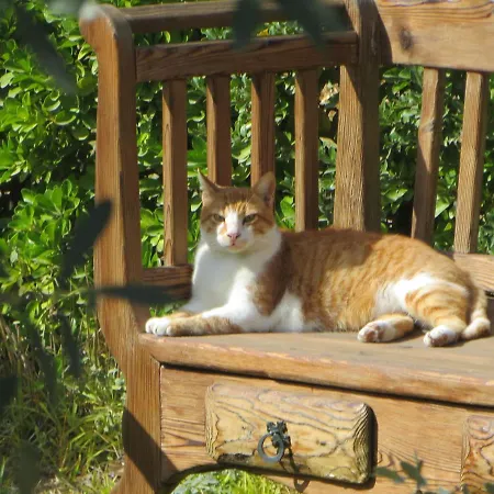 펜션 Defneland Kardelen *