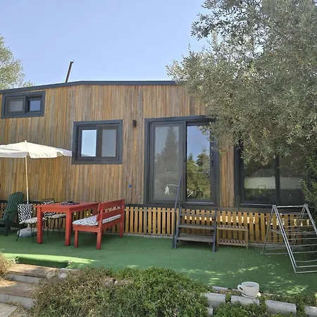 Defneland Kardelen * 울라