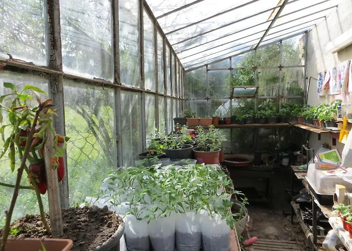 Defneland Kardelen Urla