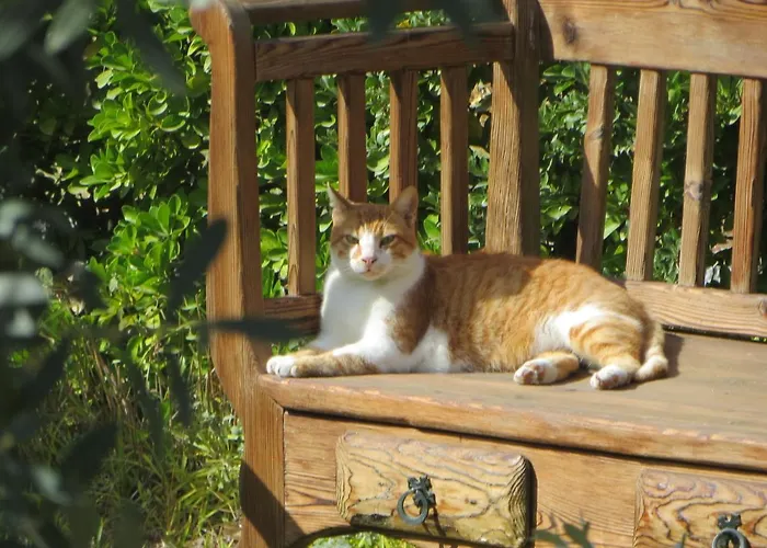 Prázdninový dům Defneland Kardelen *