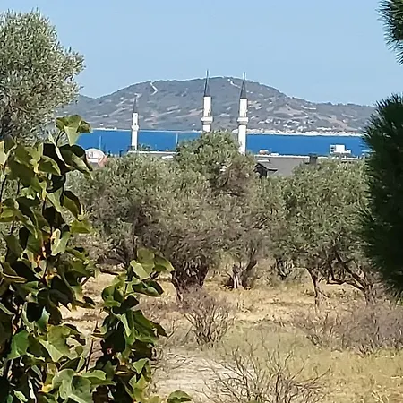 Defneland Kardelen