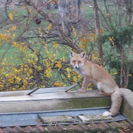 Defneland Kardelen 펜션