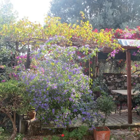 Defneland Kardelen 펜션 *