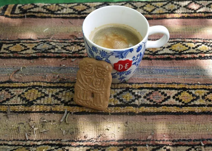 Defneland Kardelen Tatil Evi *