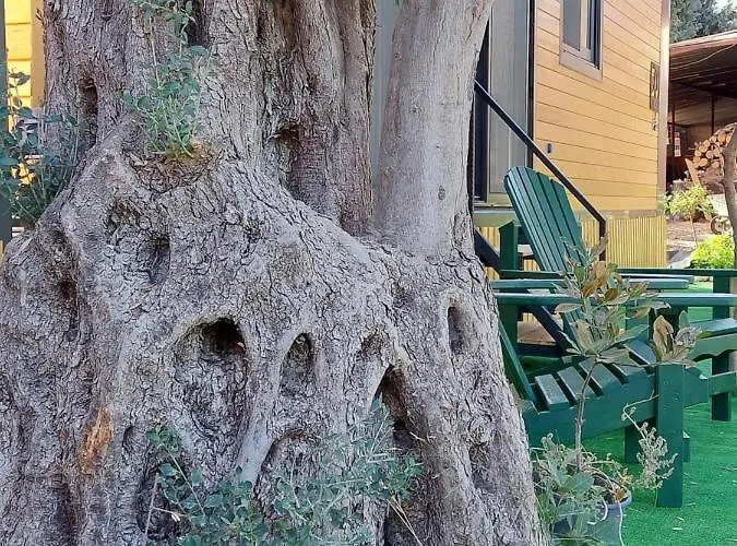 Defneland Kardelen Urla