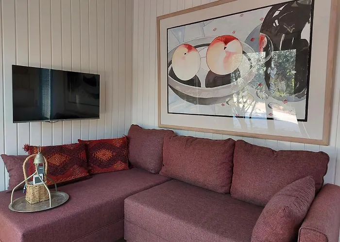 Defneland Kardelen Tatil Evi *