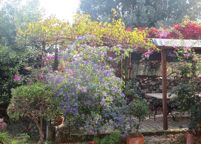 Defneland Kardelen Tatil Evi *